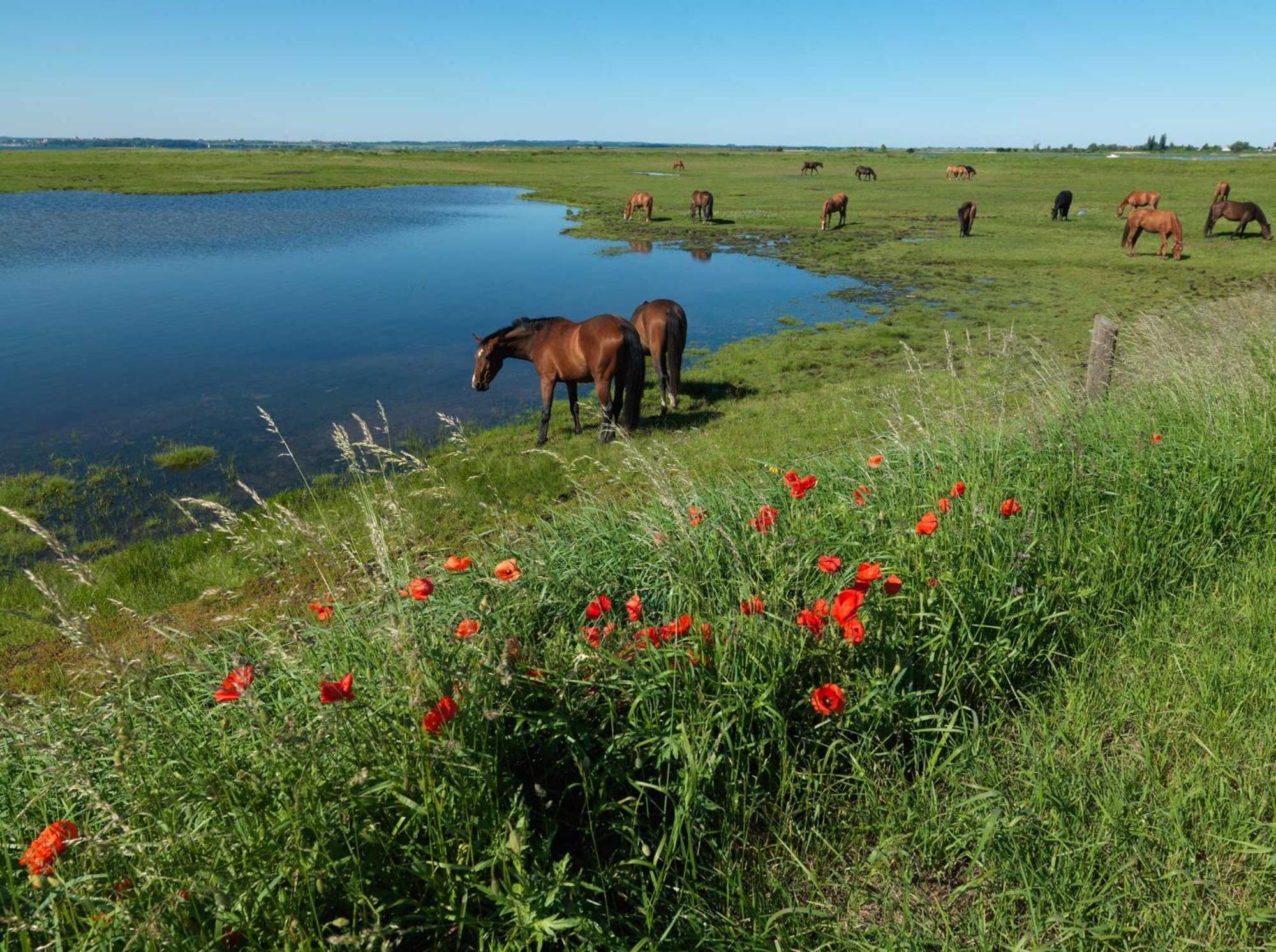 Ferienanlage Poschmann Strohboden Остров Пёль Экстерьер фото